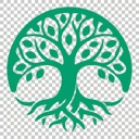 VerseVibe翻译 图标